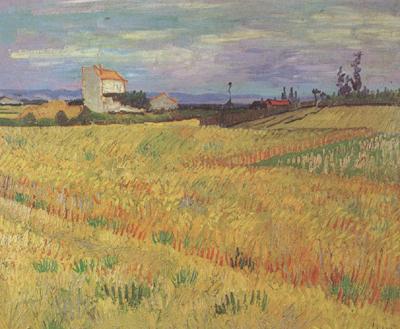 Vincent Van Gogh Wheat Field (nn04) France oil painting art